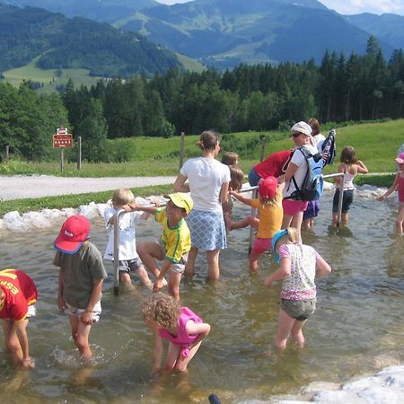 Haus Sommerstein Maria Alm am Steinernen Meer Esterno foto